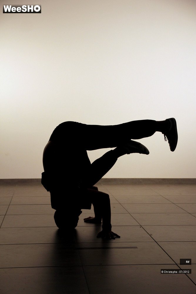 47/50 photos du spectacle Roots & Routes Summerschool 2