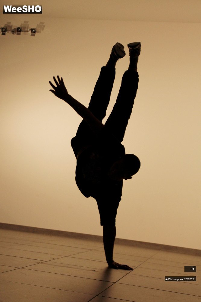 49/50 photos du spectacle Roots & Routes Summerschool 2