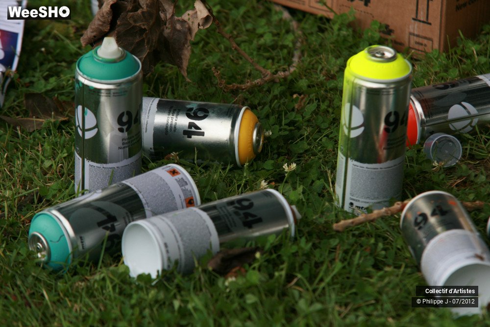 10/51 photos du spectacle Hoodstock Ambiance 1