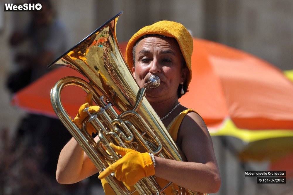 16/50 photos du spectacle Melle Orchestra