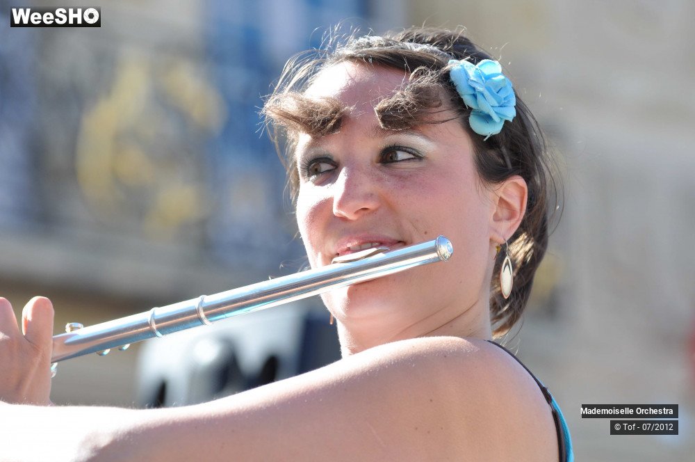 18/50 photos du spectacle Melle Orchestra