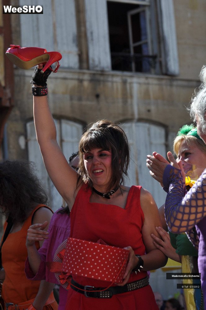 21/50 photos du spectacle Melle Orchestra