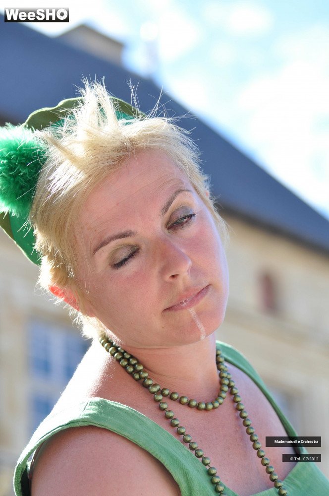 22/50 photos du spectacle Melle Orchestra