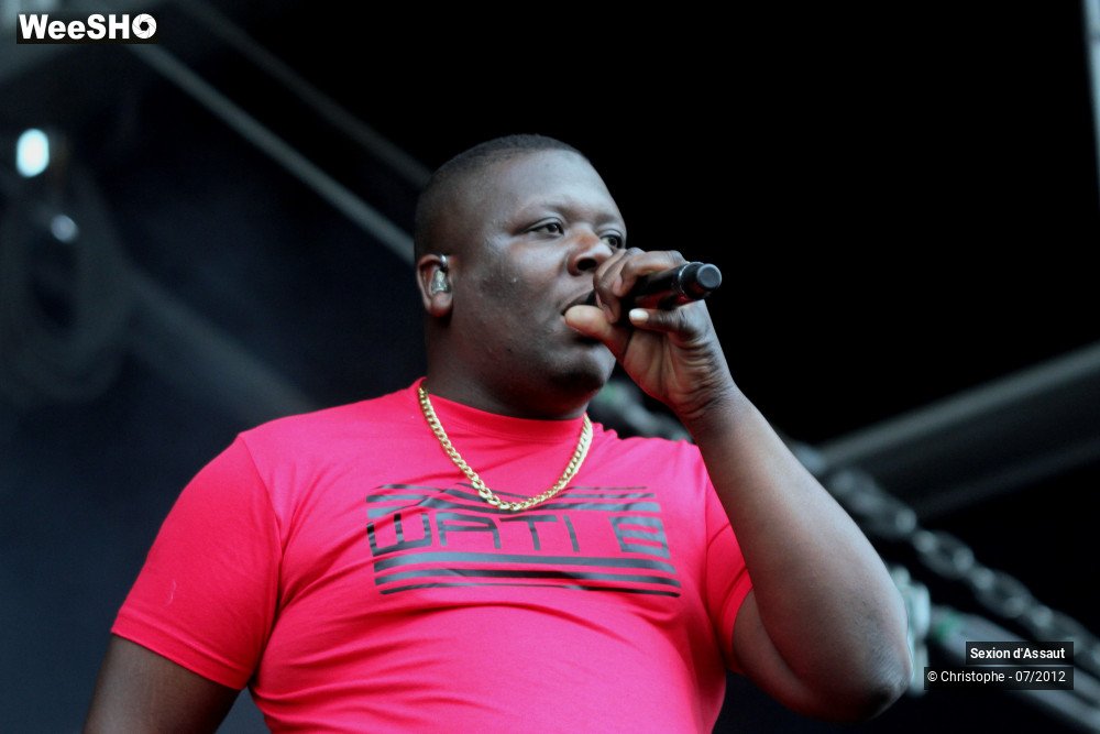 12/36 photos du spectacle Sexion d'Assaut