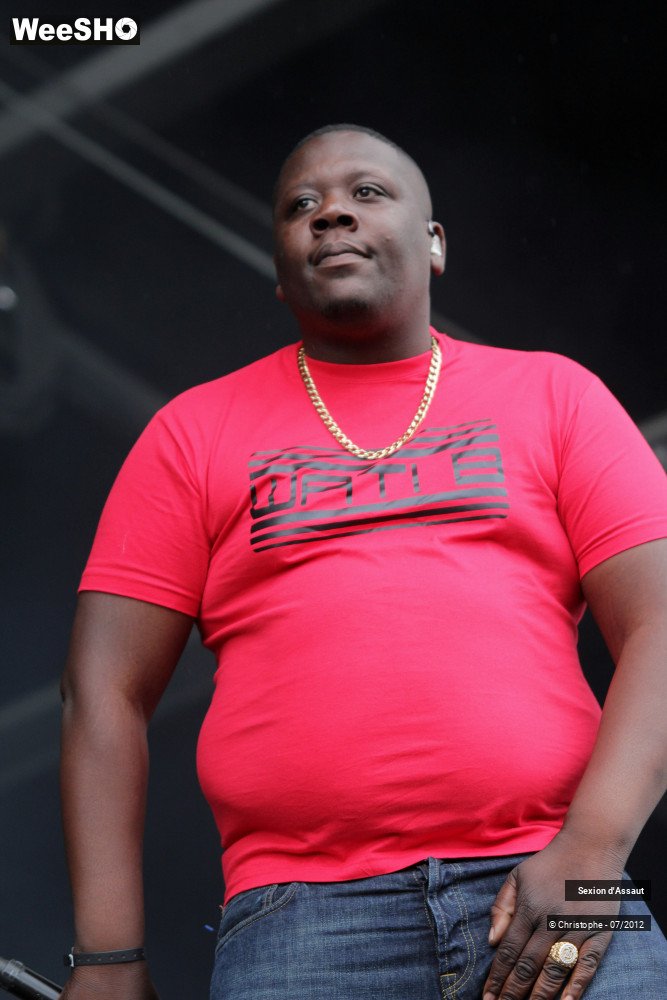 19/36 photos du spectacle Sexion d'Assaut