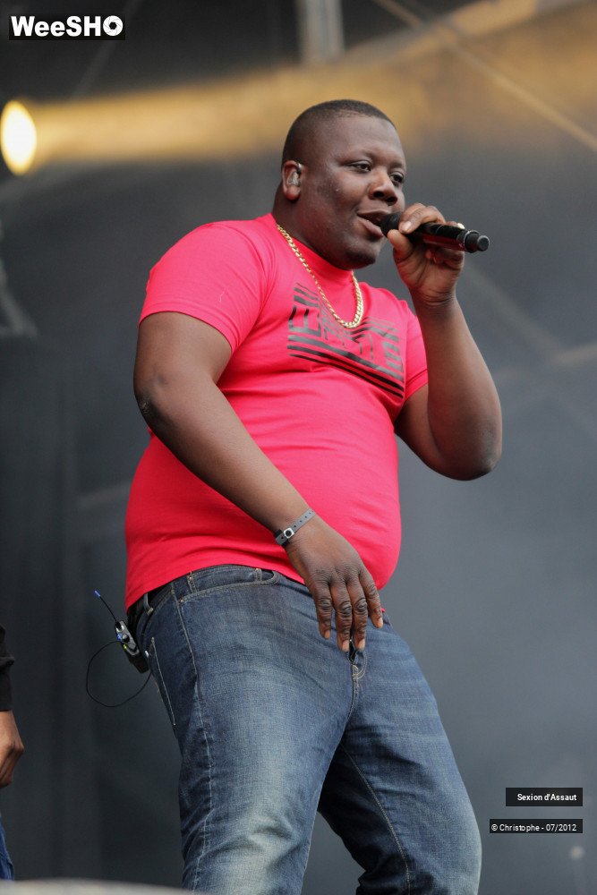 24/36 photos du spectacle Sexion d'Assaut