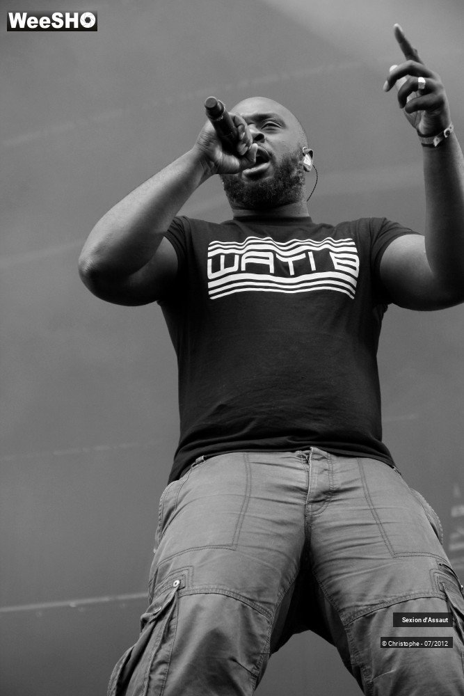 27/36 photos du spectacle Sexion d'Assaut