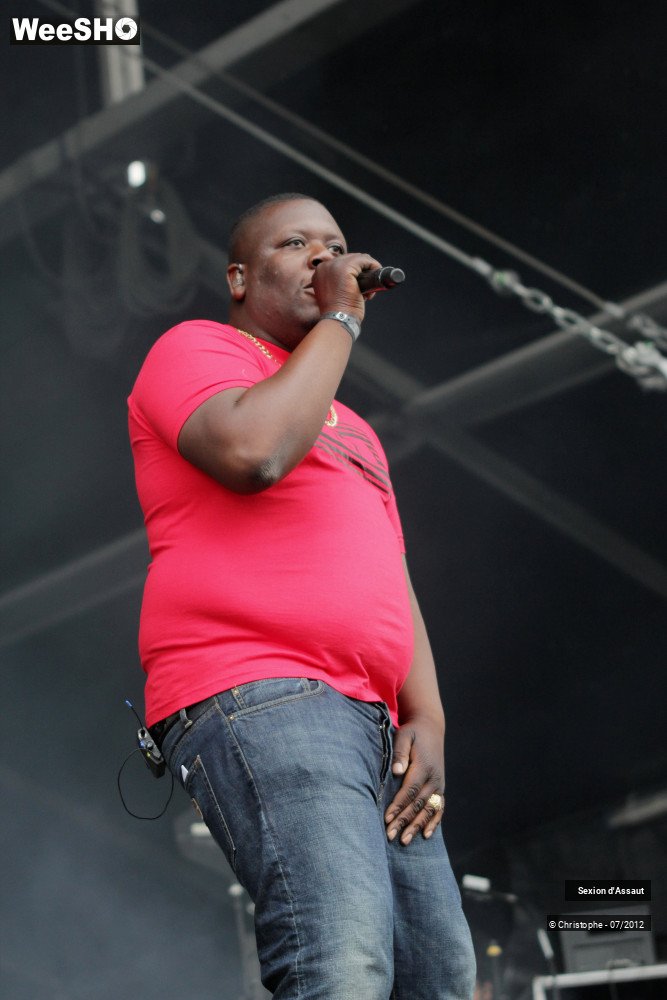 29/36 photos du spectacle Sexion d'Assaut