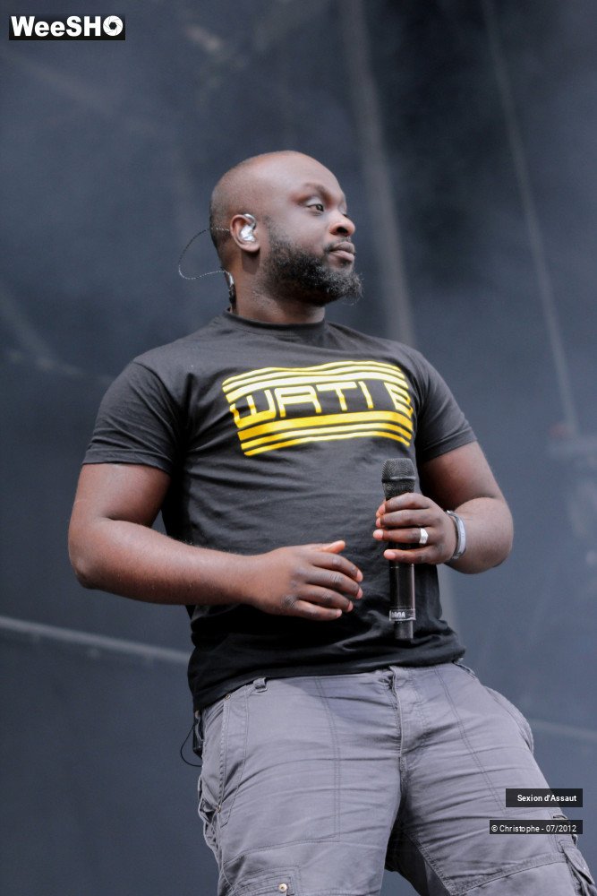 30/36 photos du spectacle Sexion d'Assaut