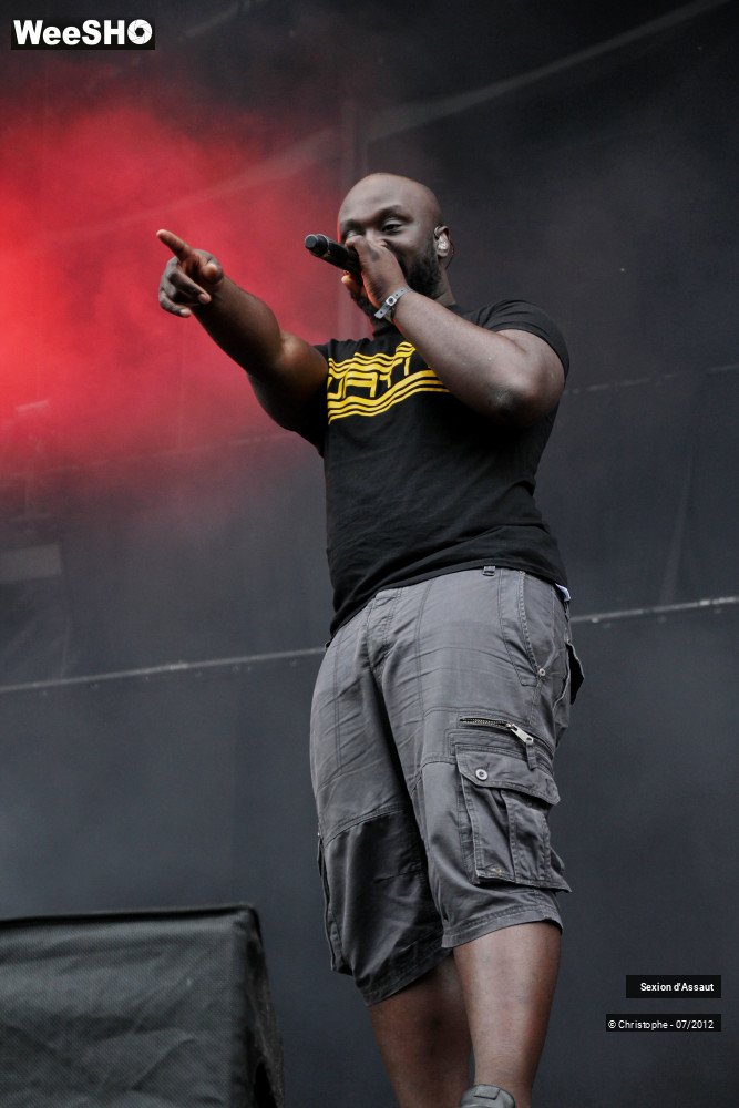 33/36 photos du spectacle Sexion d'Assaut