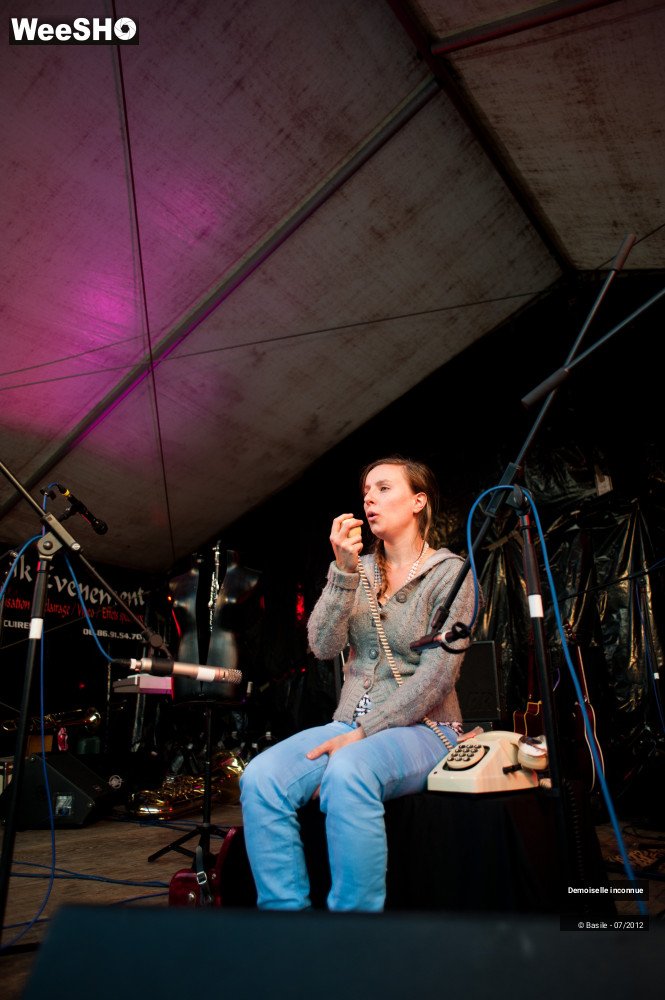 22/28 photos du spectacle La Demoiselle Inconnue