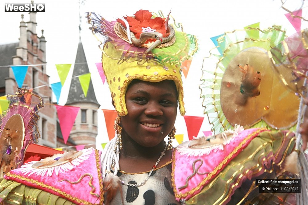 19/44 photos du spectacle Zomer Carnaval 2012 #1