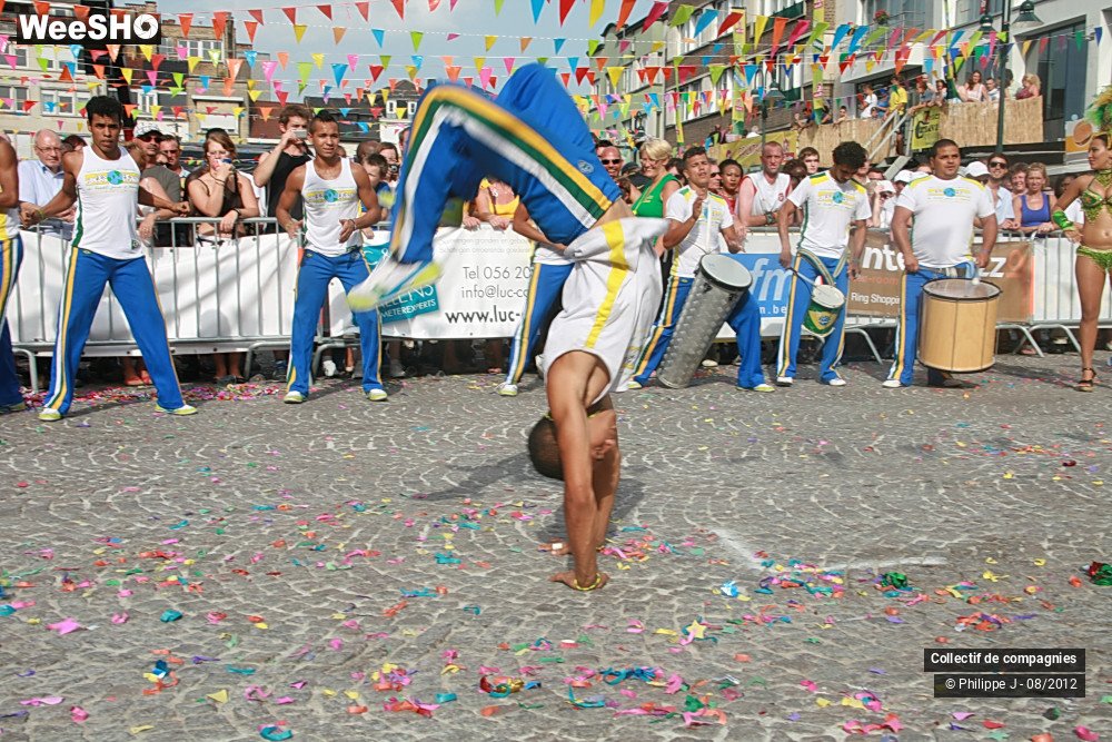 25/44 photos du spectacle Zomer Carnaval 2012 #1