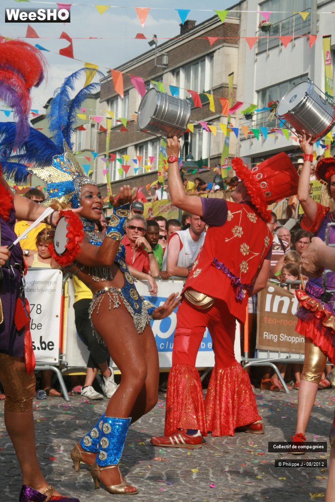 30/44 photos du spectacle Zomer Carnaval 2012 #1