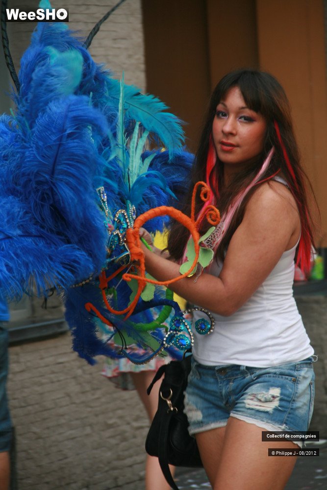 31/44 photos du spectacle Zomer Carnaval 2012 #1