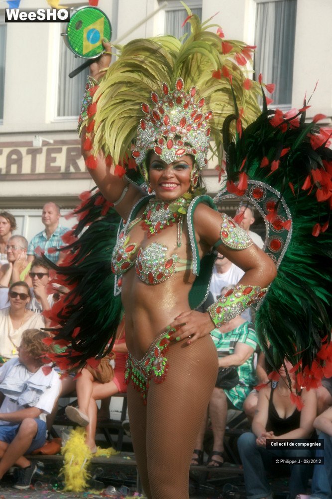 32/44 photos du spectacle Zomer Carnaval 2012 #1