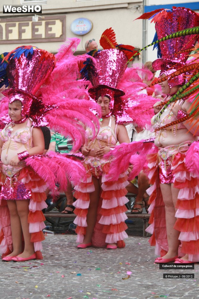 34/44 photos du spectacle Zomer Carnaval 2012 #1