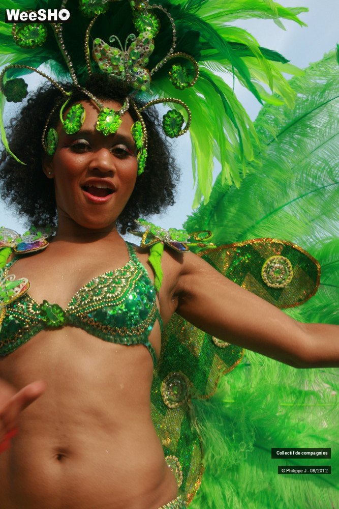 36/44 photos du spectacle Zomer Carnaval 2012 #1