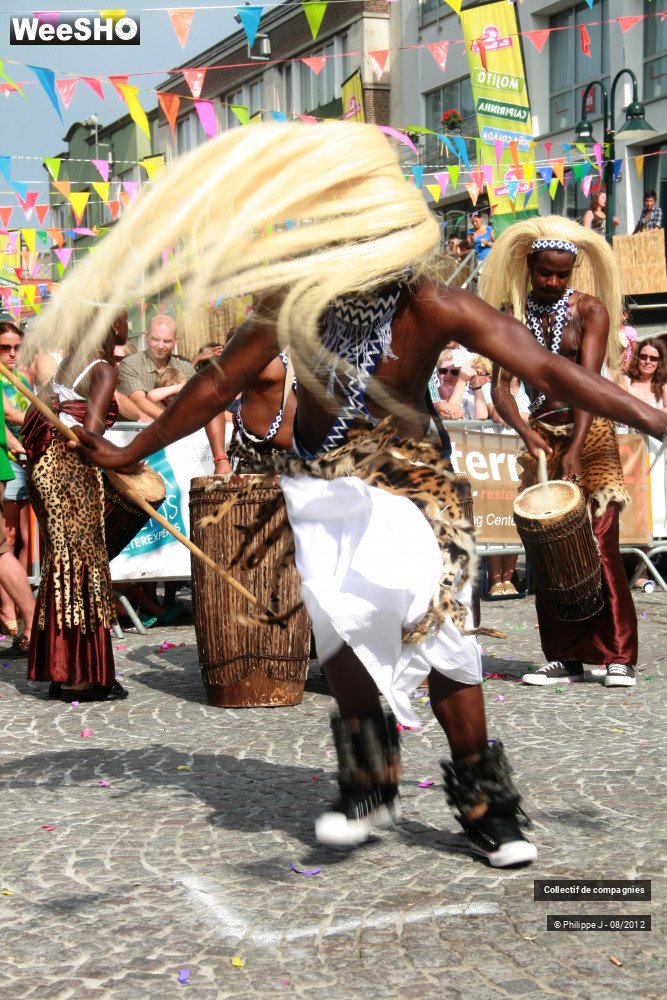 40/44 photos du spectacle Zomer Carnaval 2012 #1