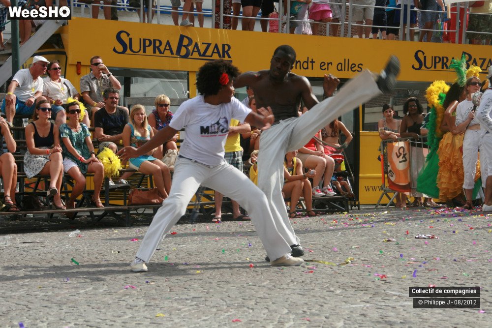 11/40 photos du spectacle Zomer Carnaval 2012 #2