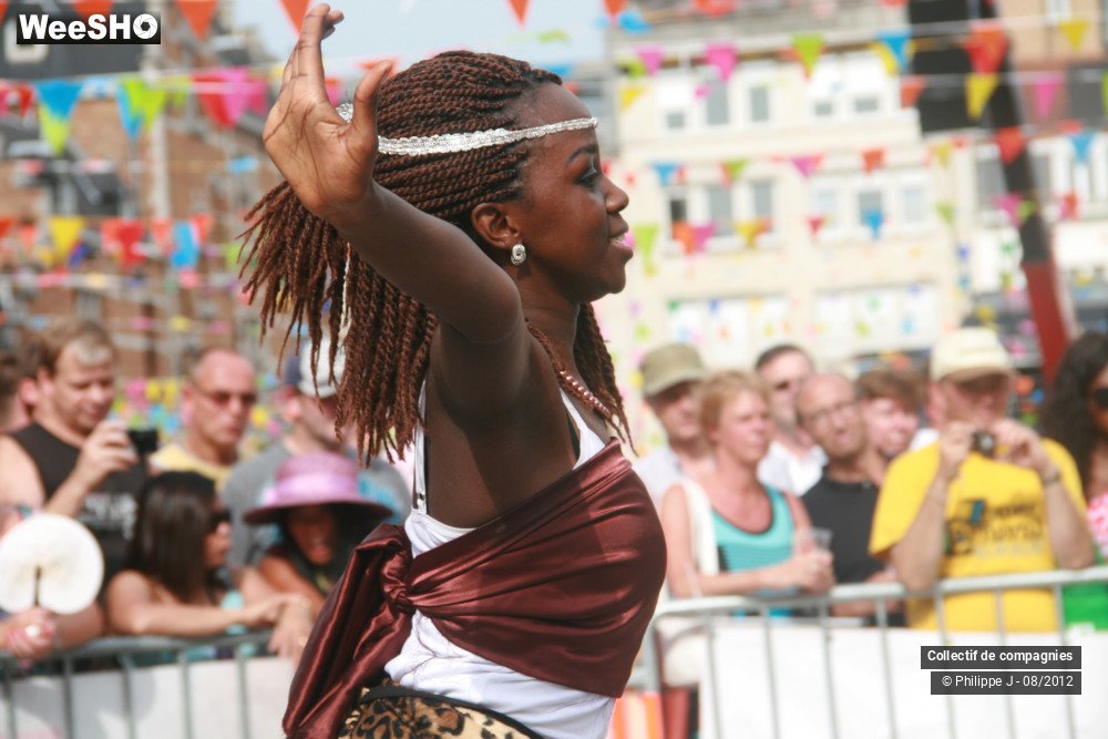 14/40 photos du spectacle Zomer Carnaval 2012 #2