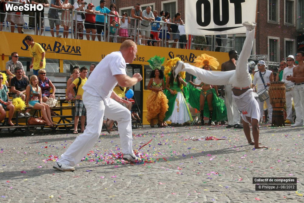 16/40 photos du spectacle Zomer Carnaval 2012 #2