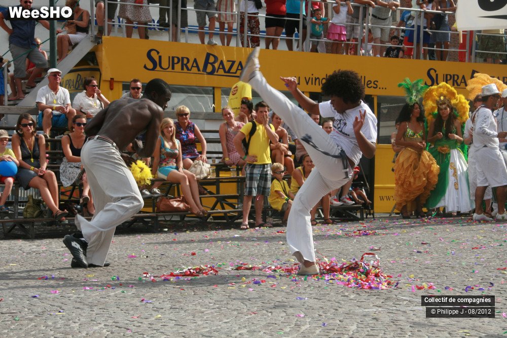 17/40 photos du spectacle Zomer Carnaval 2012 #2