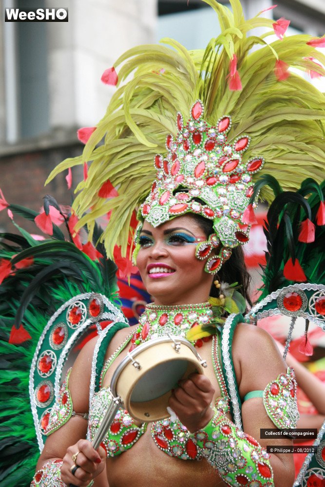 31/40 photos du spectacle Zomer Carnaval 2012 #2