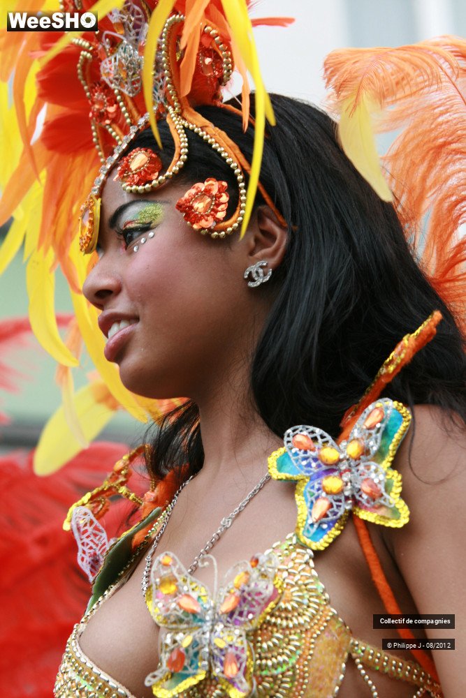33/40 photos du spectacle Zomer Carnaval 2012 #2