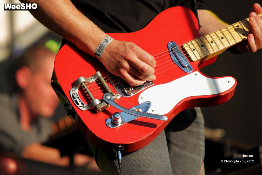 1/20 photos du spectacle Roscoe