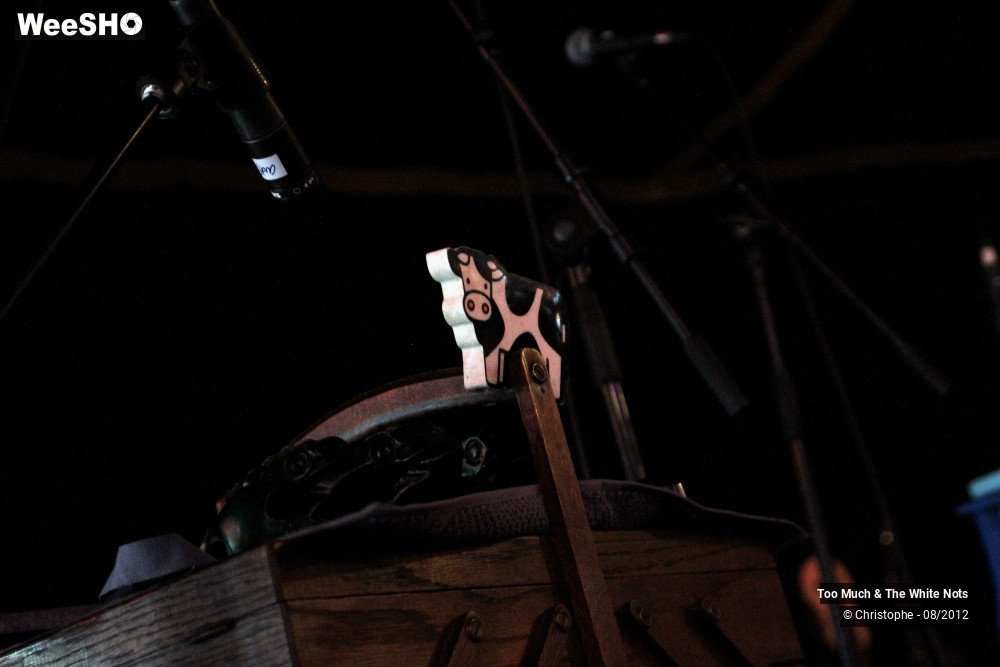 1/32 photos du spectacle Too Much & The White Nots