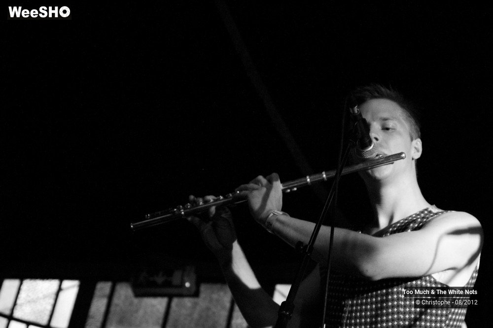 3/32 photos du spectacle Too Much & The White Nots