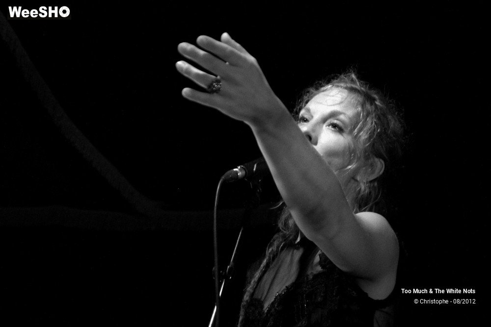 5/32 photos du spectacle Too Much & The White Nots