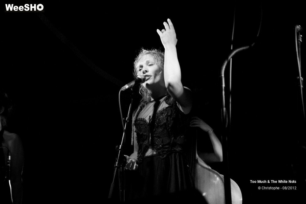 8/32 photos du spectacle Too Much & The White Nots