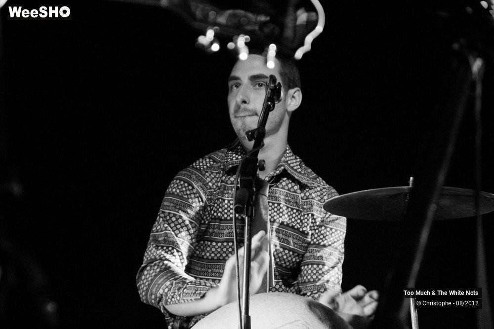 9/32 photos du spectacle Too Much & The White Nots