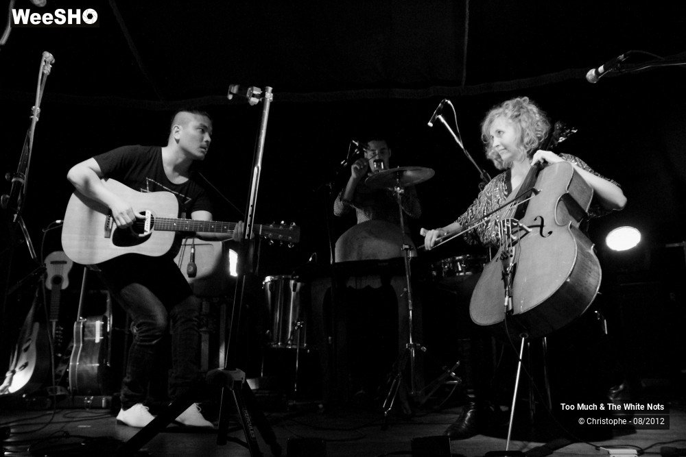 10/32 photos du spectacle Too Much & The White Nots