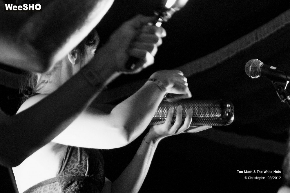 11/32 photos du spectacle Too Much & The White Nots