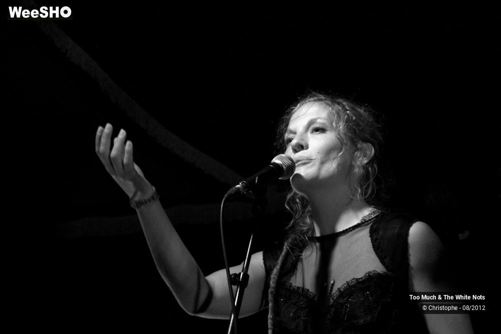 12/32 photos du spectacle Too Much & The White Nots