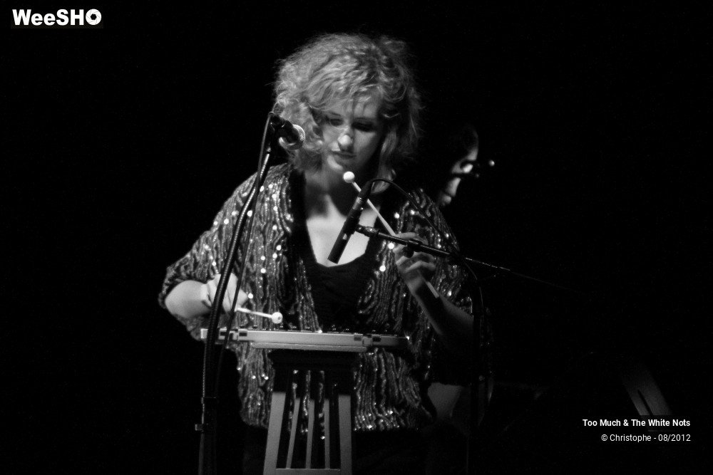 13/32 photos du spectacle Too Much & The White Nots