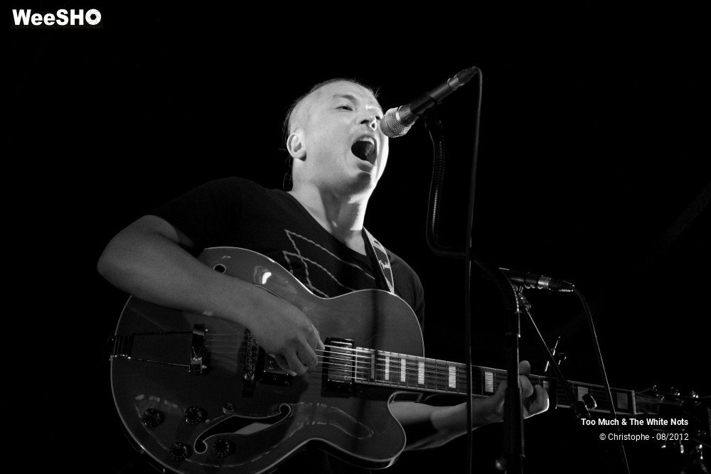 16/32 photos du spectacle Too Much & The White Nots