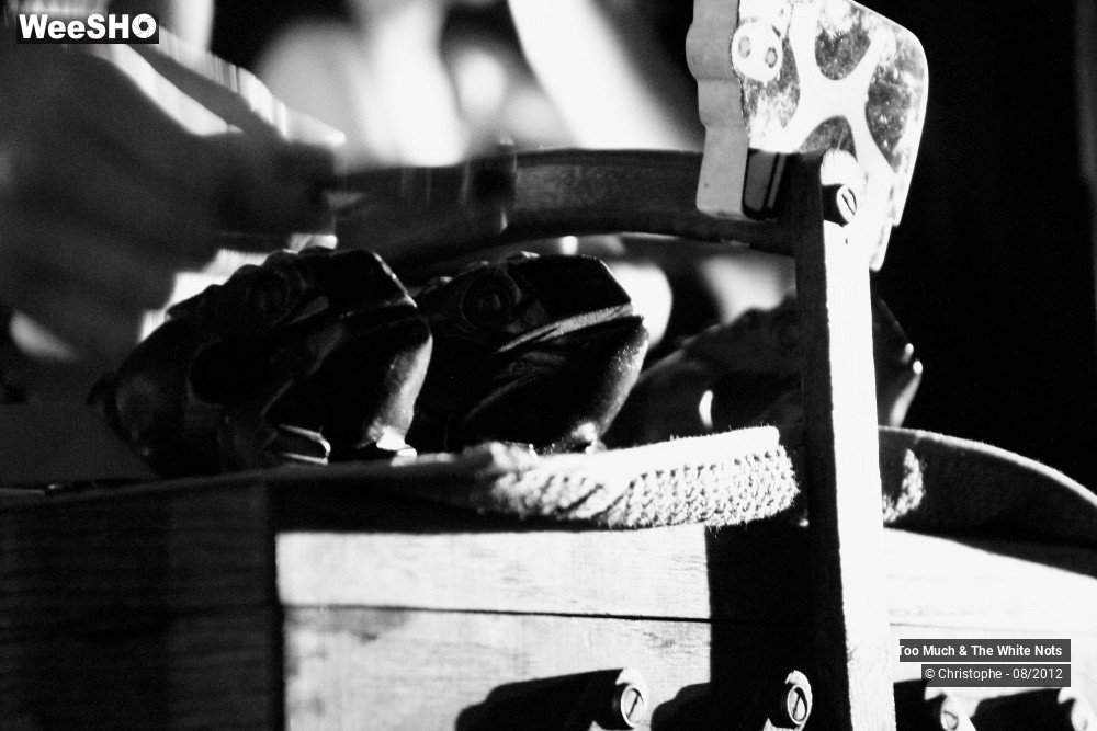 17/32 photos du spectacle Too Much & The White Nots