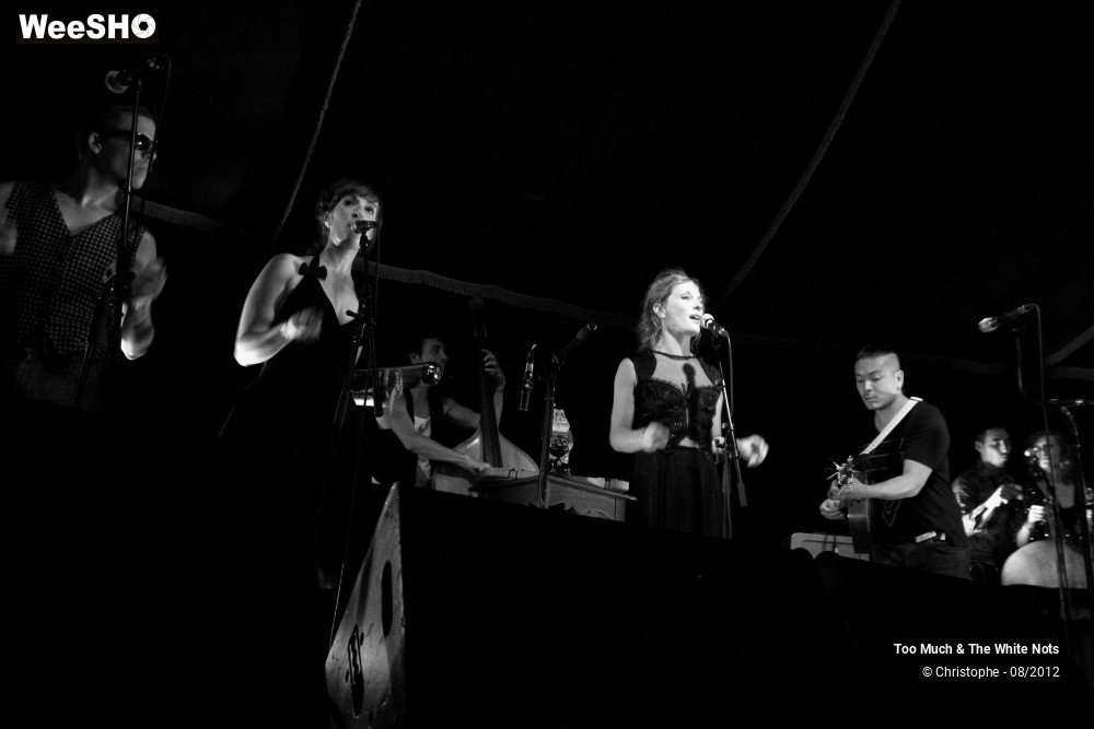 18/32 photos du spectacle Too Much & The White Nots