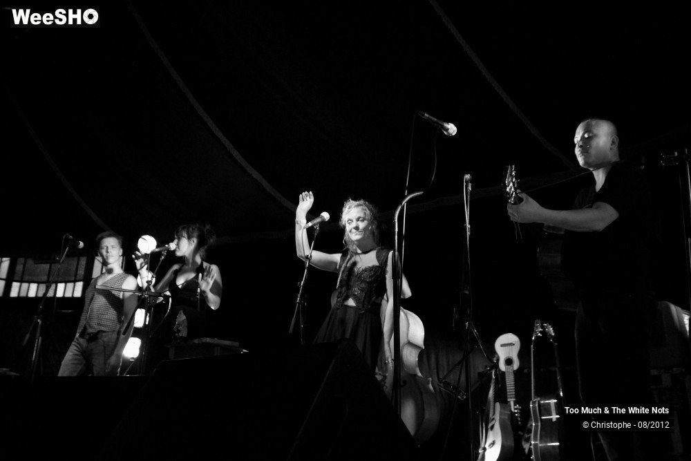 19/32 photos du spectacle Too Much & The White Nots