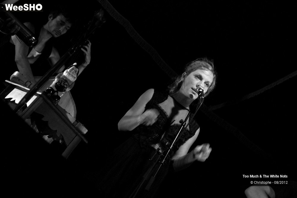 20/32 photos du spectacle Too Much & The White Nots