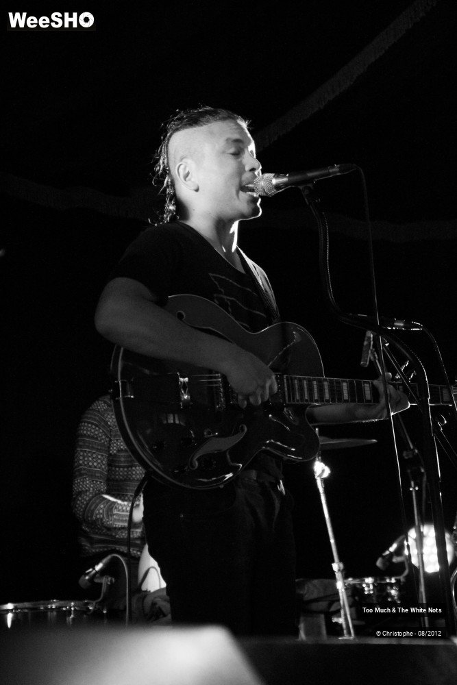 21/32 photos du spectacle Too Much & The White Nots