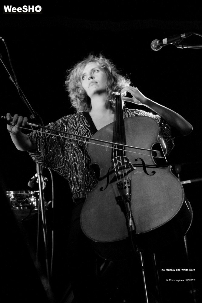 22/32 photos du spectacle Too Much & The White Nots