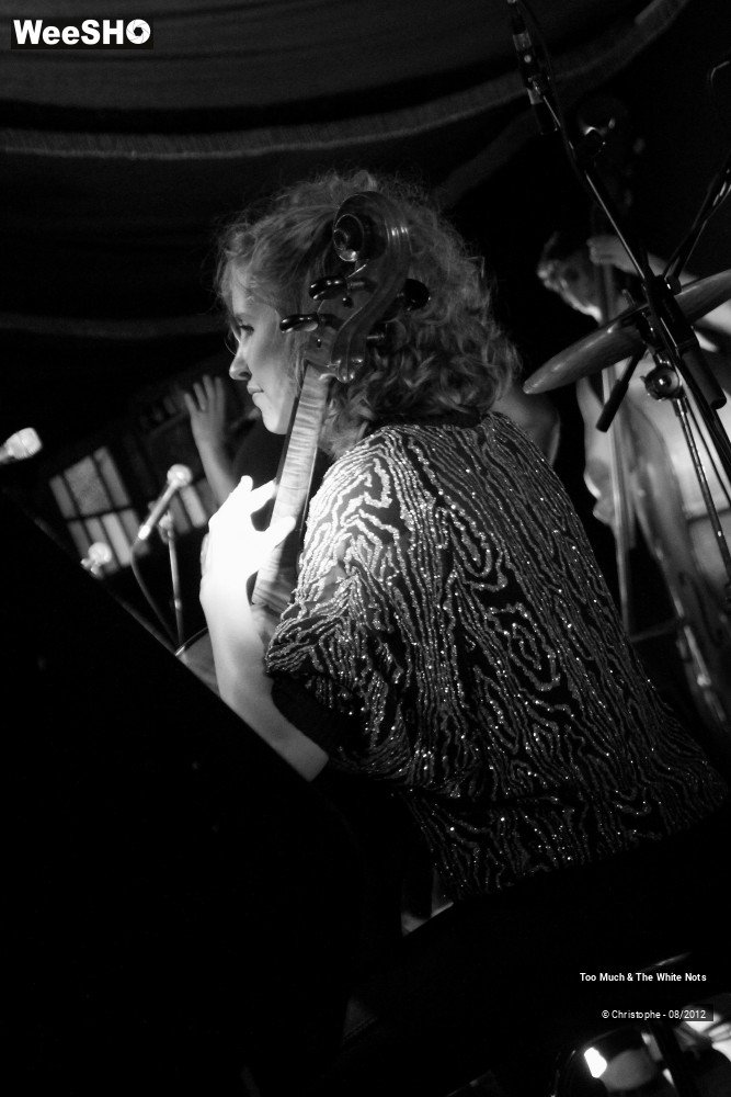 23/32 photos du spectacle Too Much & The White Nots