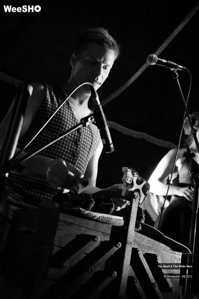 24/32 photos du spectacle Too Much & The White Nots