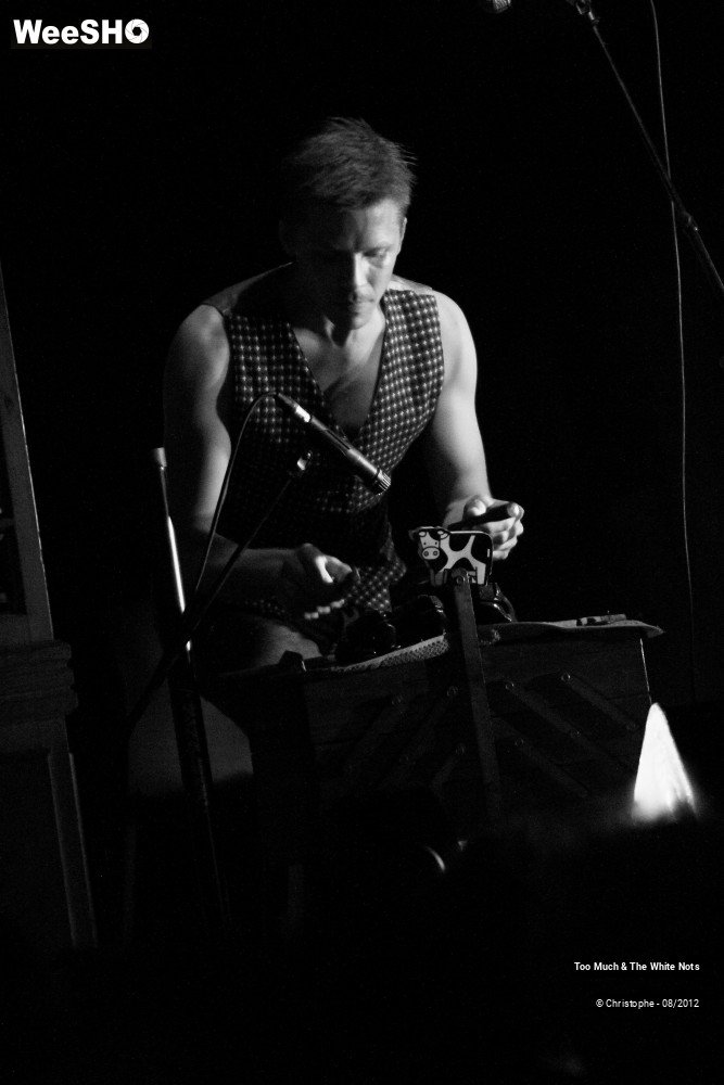 25/32 photos du spectacle Too Much & The White Nots