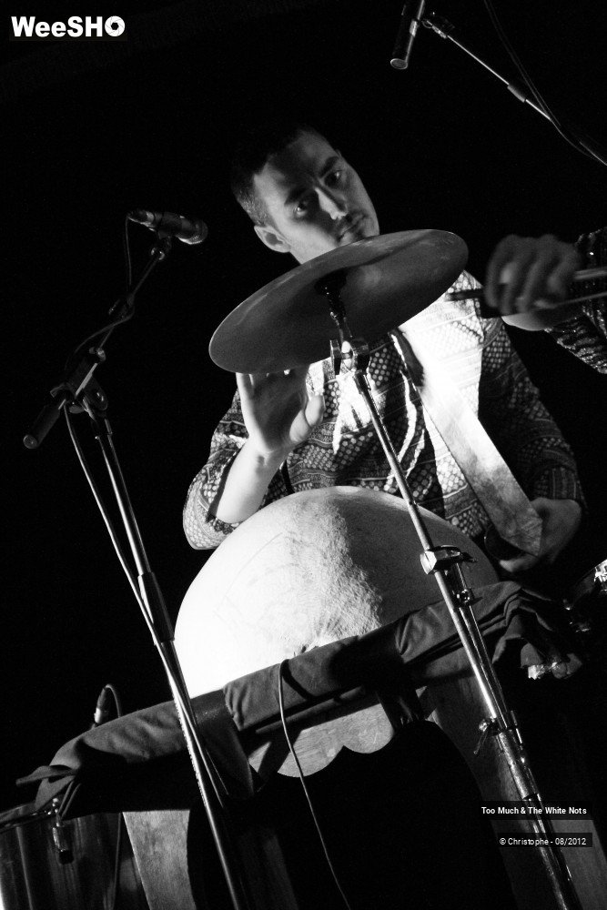 27/32 photos du spectacle Too Much & The White Nots